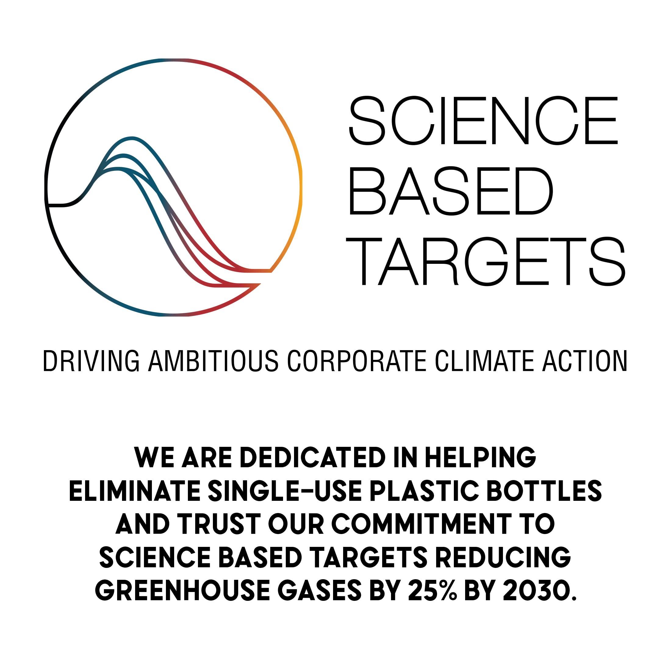 Salada Salada Black Tea Blended Bold Strong Black Tea with 100 Tea Bags Per Box (Pack of 6) Contains Caffeine Brew Hot Naturally Flavored Rich in Antioxidants Original Blend Tea