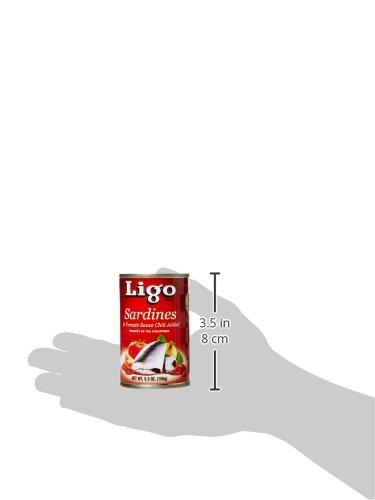 LIGO Ligo Sardines in Tomato Sauce with Chili Added, 5.5 Ounce (Pack of 100)