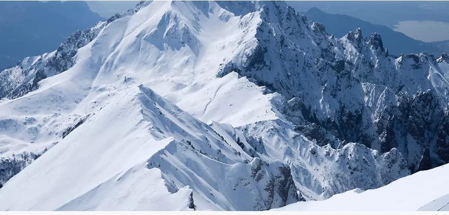 Sferalp SA Nano Soma Metasomer Topical Gel M, 1 Ounce (Pack of 1)