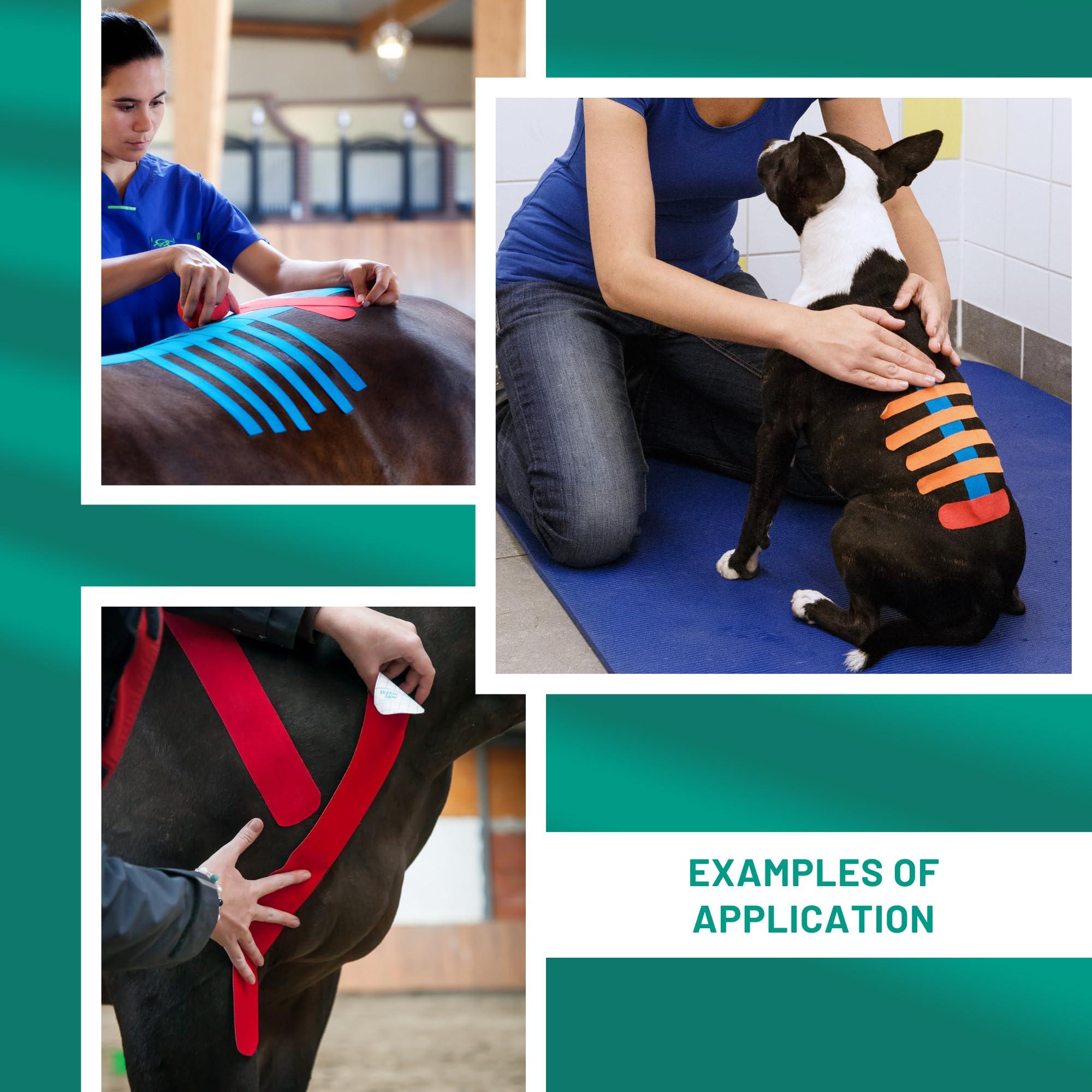 VETKIN VetkinTape Veterinary Kinesiology Tape Blue | kinesiology Tape For Horses & Dogs | Equine & Canine Kinesiotape | Latex Free and TV Quality Mark Certified Ktape | 4 inch | Pack of 1 Roll