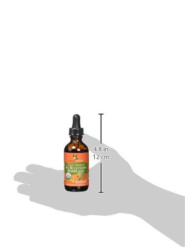 SEABUCKWONDERS SeabuckWonders Sea Buckthorn Berry Oil, 100% Certified Organic, 1.76 FL OZ Bottle (Pack of 12)