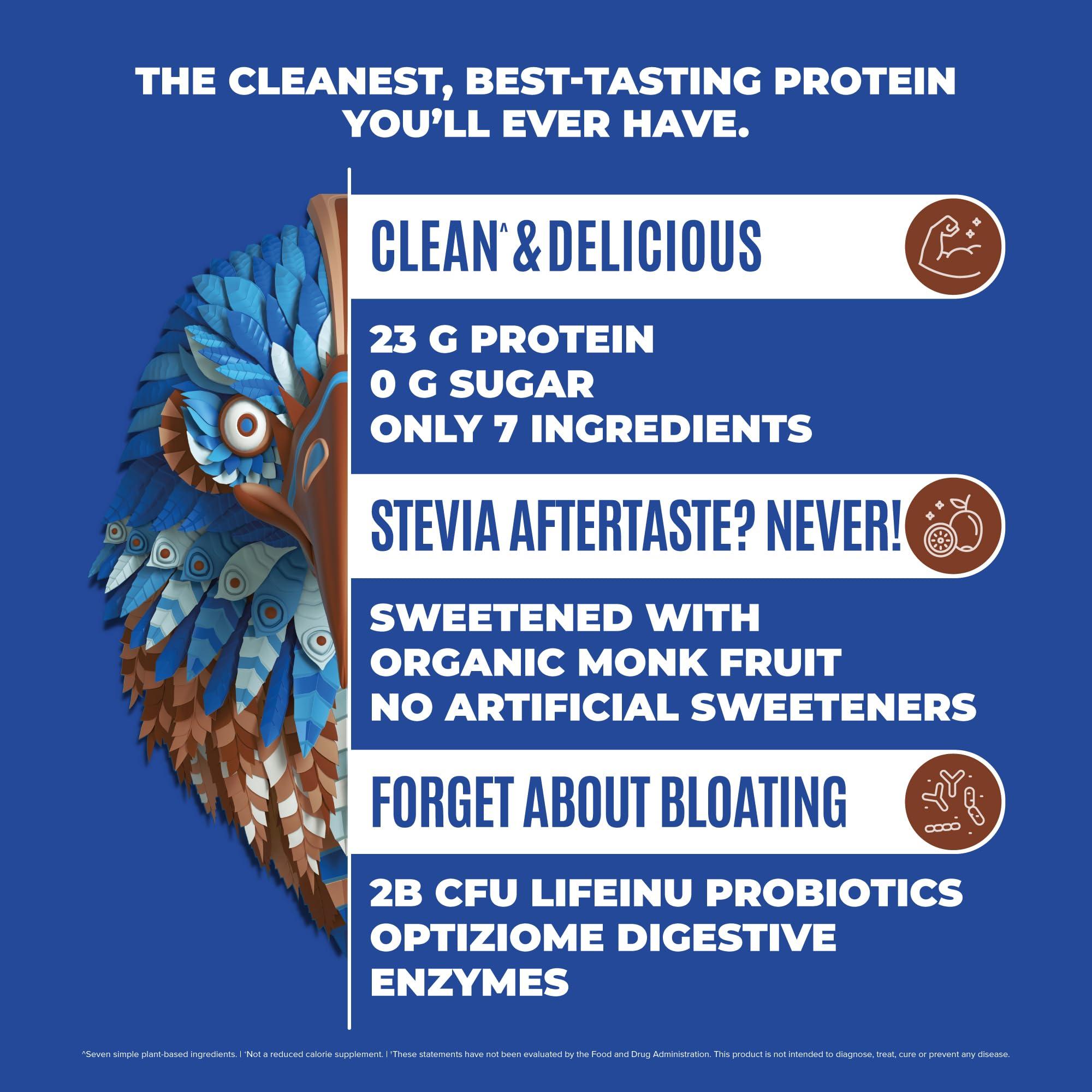 BIRDMAN BIRDMAN Falcon Vegan Protein Powder Organic, Stevia & Sugar Free, Plant Based Protein, Low Carb, Dairy Free, Keto, Non Whey Protein, Probiotic, Pea Protein | Chocolate Flavor - 60 Servings - 3.9lb