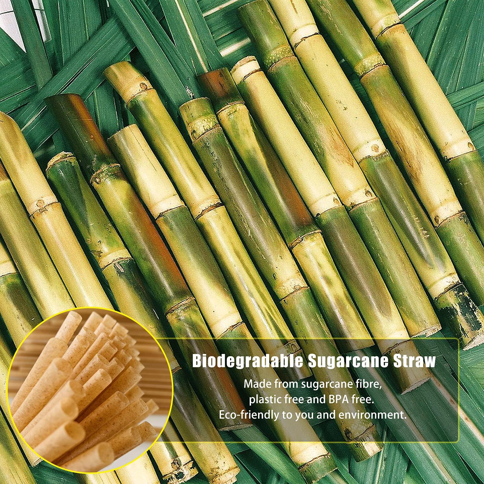 SHAUMN Biodegradable Sugarcane Straws 10.2 Inch Long Compostable Drinking Straws Bulk Plasticless A Sturdy Straws Works for Hot/Cold Drinks Not Soggy Alternative to Platic/Paper Ones