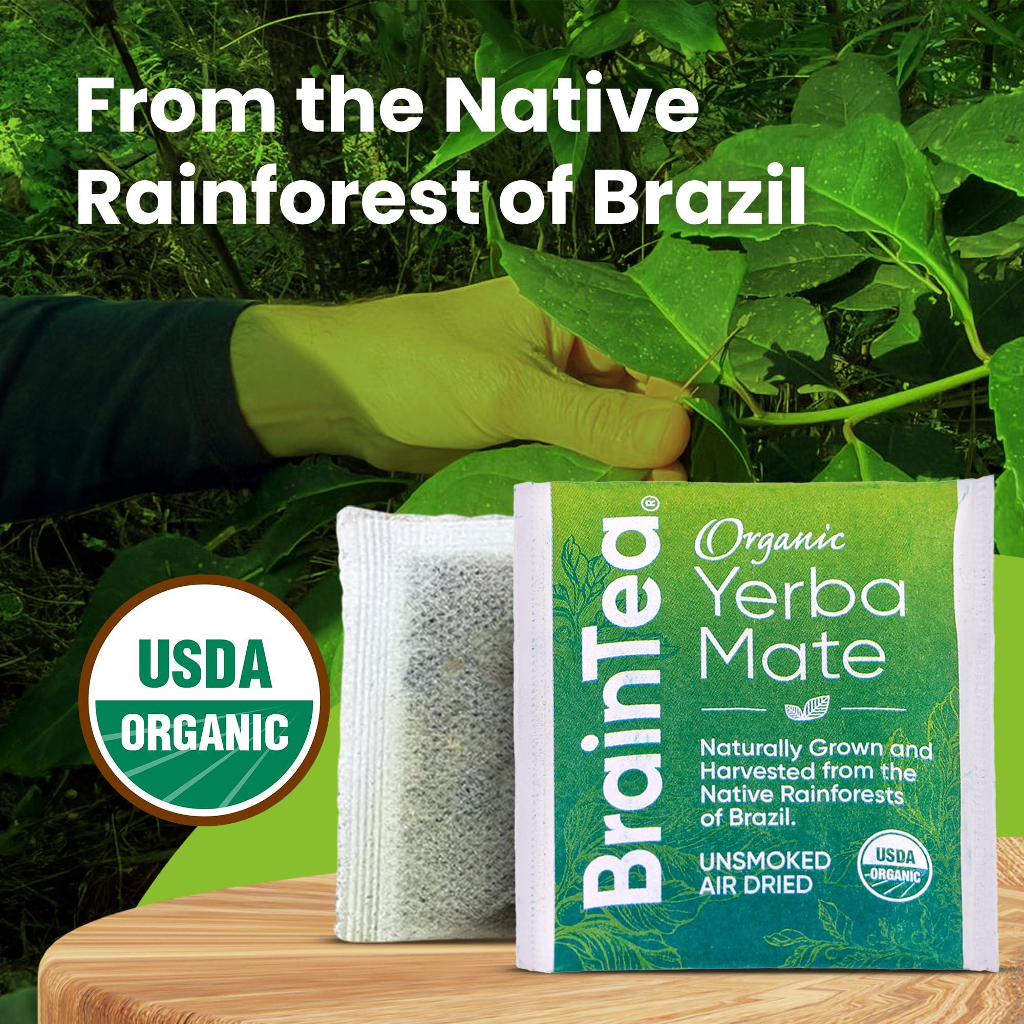 Brain Tea Yerba Mate Tea Organic - Brain Tea Organic Yerba Mate Tea bags 50 count - Native Rainforest Sourced, Unsmoked & Air-Dried, High Caffeine Matte Tea for Detox & Focus Boost - 100g