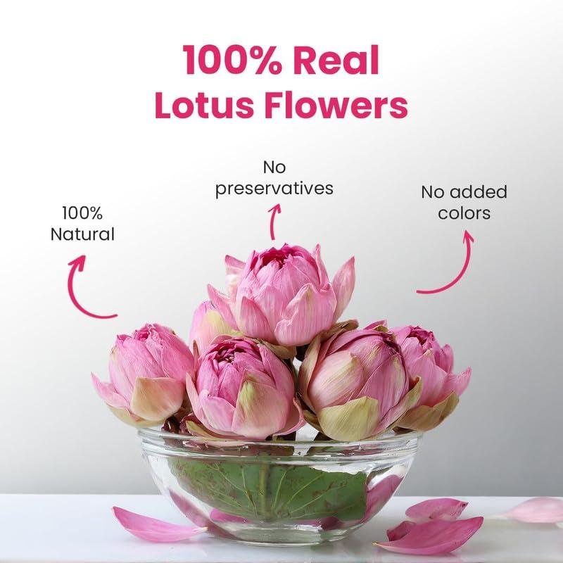 BLUE TEA BLUE TEA - Lotus Flower Tea - 1.40 Oz (Pack of 2)