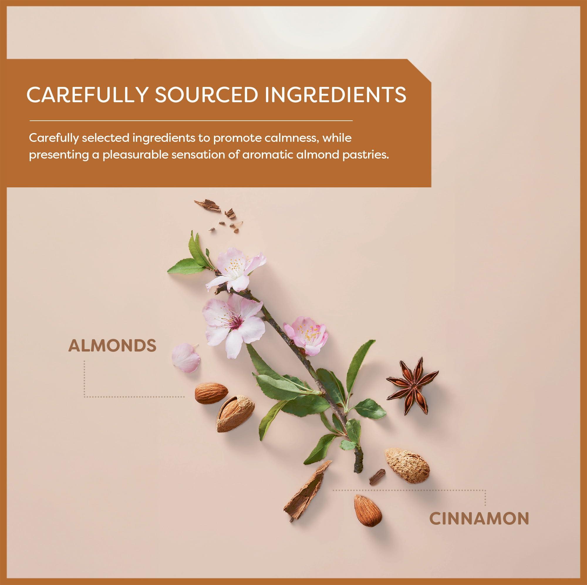 Wissotzky Wissotzky Almond Charm Tea Bags, 20 Tea Bags | Caffeine Free | AKA Chemdat Hashaked | Delicious Aroma