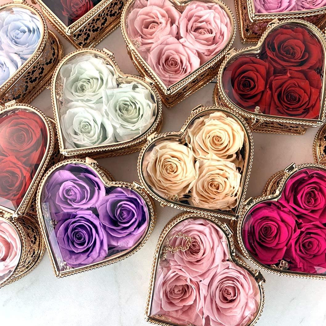 Mayorga Mayorga Medium Roast Whole Bean Coffee, 2 lb bag - Mayan Blend Organic Coffee Roast - Direct Trade, Specialty Grade, Non-GMO 100% Arabica Coffee Beans