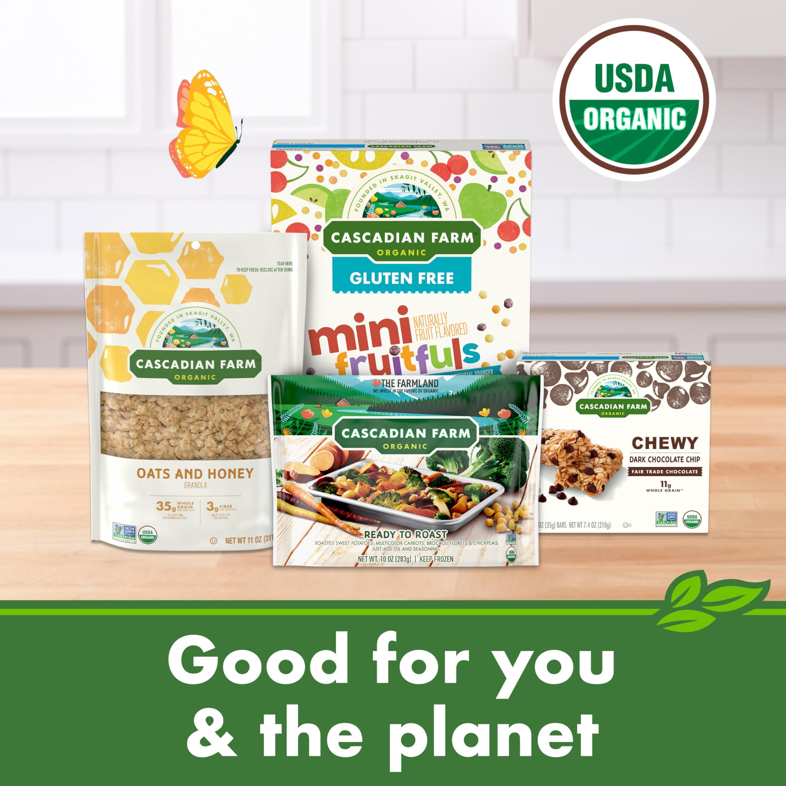 Cascadian Farm Cascadian Farm Organic Fruitful O\'s Breakfast Cereal, Gluten Free, Made With Whole Grain, 10.2 oz