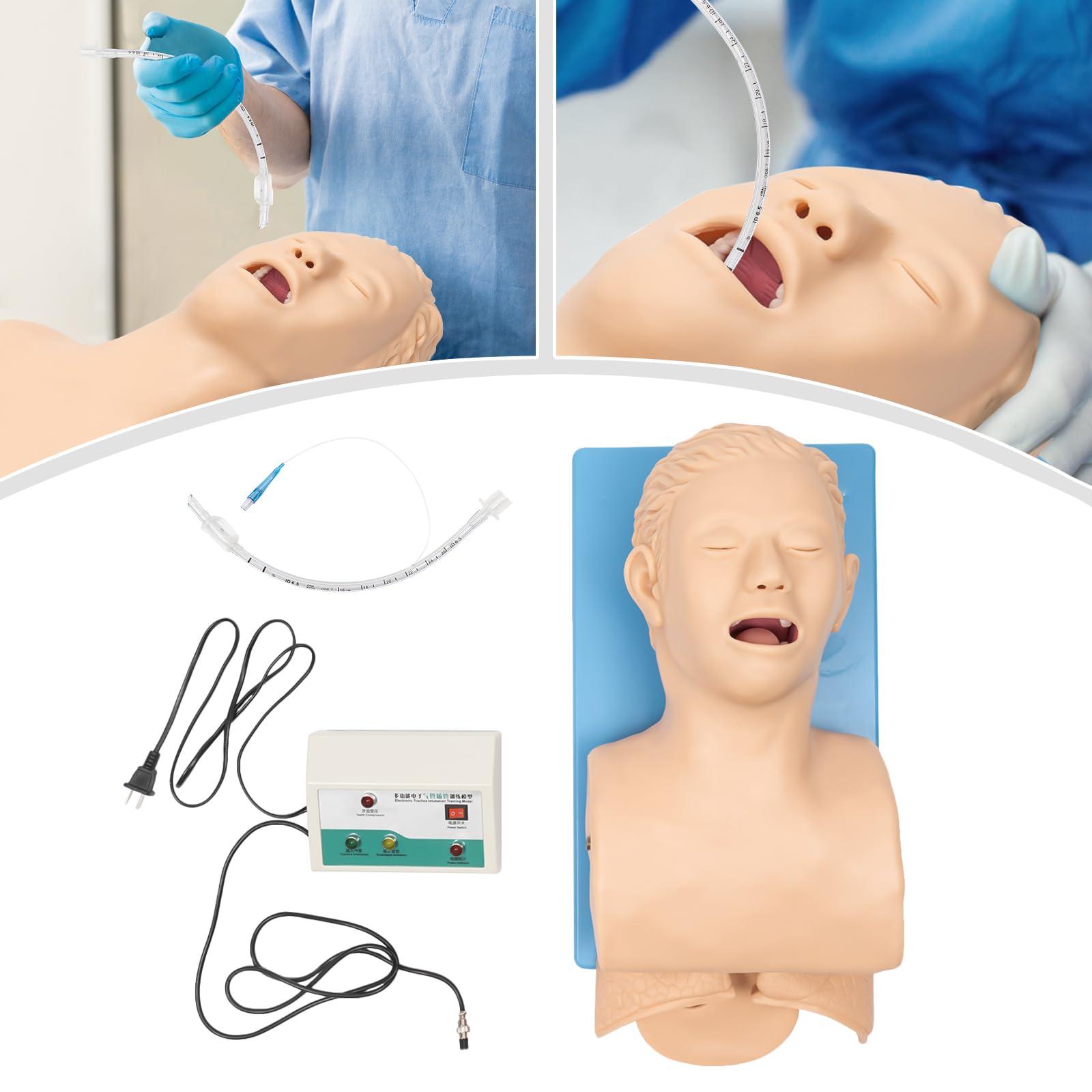 CNCEST CNCEST Adult Intubation Manikin Teaching Model,Airway Management Trainer Tracheal Intubation Training Simulator Model