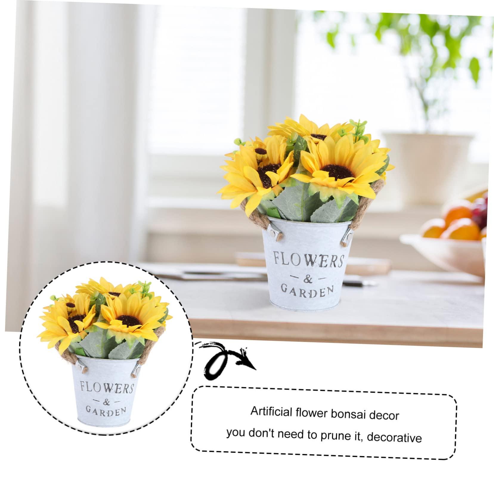 Florastor Florastor Family Probiotic Bundle - 100 ct. Probiotic for Digestive & Immune Health for Men & Women + 20 ct. Kids Daily Probiotic, Unflavored Powder Sticks - Boost Good Bacteria & Flush Out The Bad