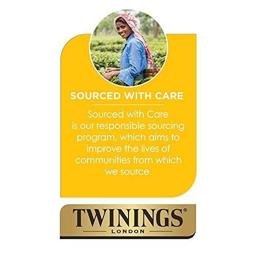 Twinings Twinings Cold Brewed Iced Tea - Mint Flavored Green Tea with Peppermint Leaves, Caffeinated Green and Black Tea Extracts, Unsweetened Cold Brew Tea Bags Individually Wrapped, 20 Count