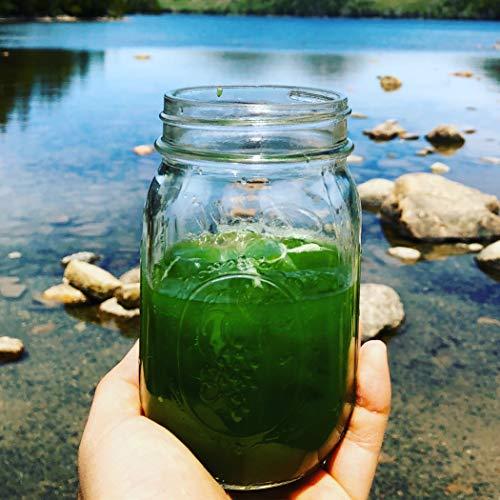 Beantown Tea & Spices Japanese Matcha Samidori Tea Sampler. Premium Matcha Sampler Makes 3 Servings. Beantown Tea & Spices Brand. (Matcha Samidori)