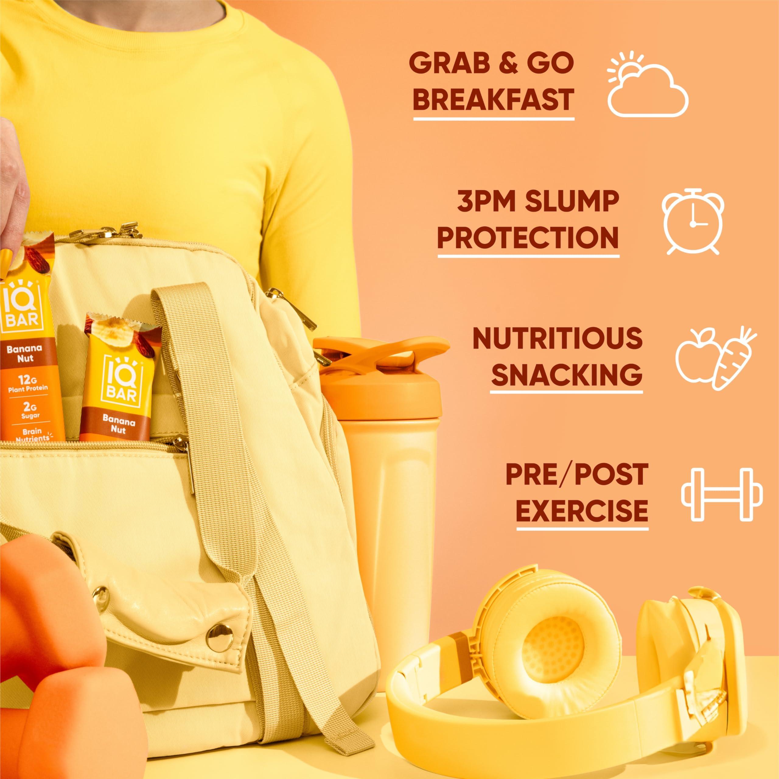 IQBAR IQBAR Brain and Body Plant Protein Bars - Fruit Lovers Variety - 36-Count Low Carb - Gluten Free, High Fiber, Vegan Snacks - Low Sugar Meal Replacement