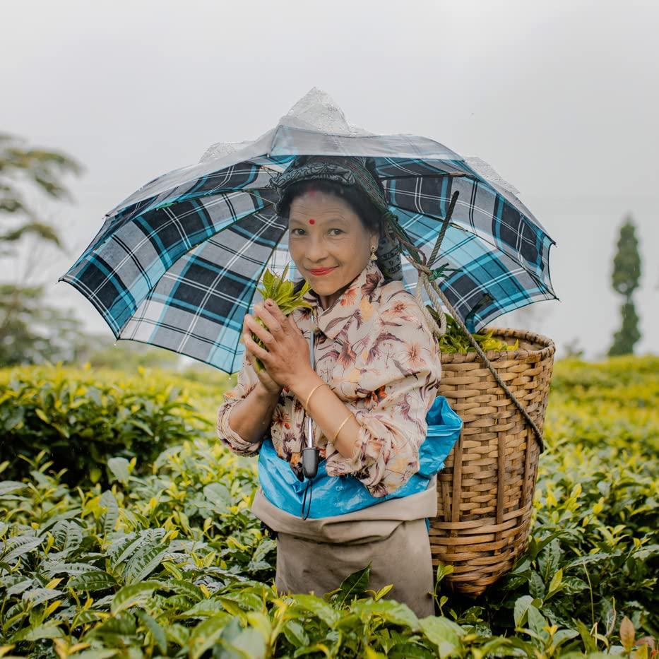 Grace Farms Grace Farms Organic Darjeeling Sunrise Black Tea, 50 Sachet Pouch | Darjeeling & Orange | Fairtrade & Kosher |Gives Back 100% of Profits