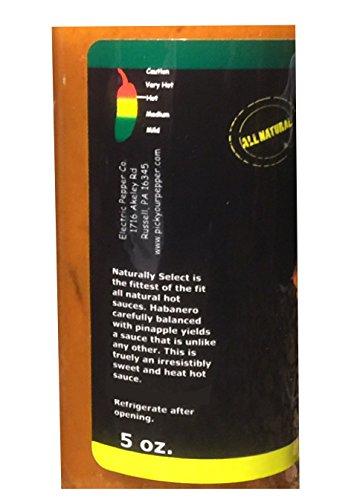 Wicked Tickle Hot Sauce Gift Set Habanero Jalapeño Garlic Pineapple Sauce 4 Pack Wicked Tickle