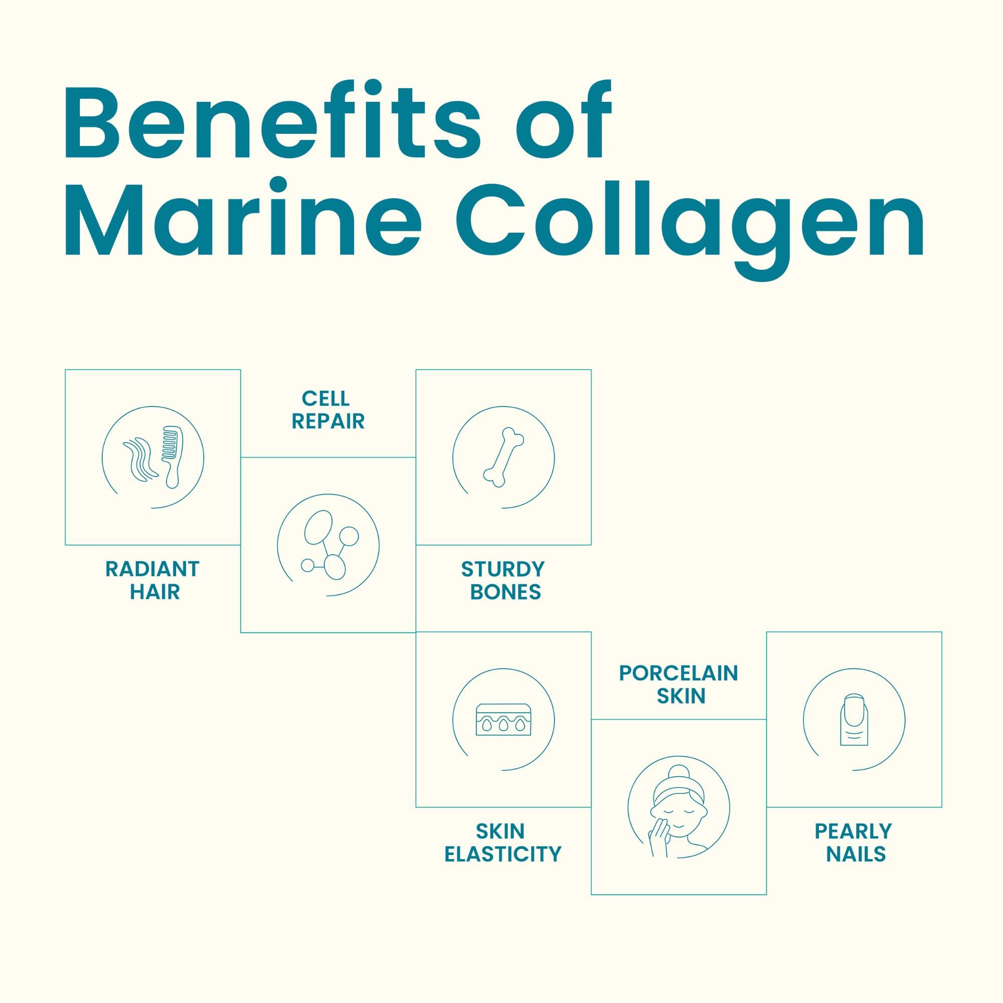 EarthNutri EarthNutri Marine Collagen Peptides Powder Supplement for Skin, Hair & Nails Enhances Skin Elasticity & Hydration Hydrolyzed Collagen 5000mg per Serving Non-GMO Ocean Breeze (30 Sticks Pack)
