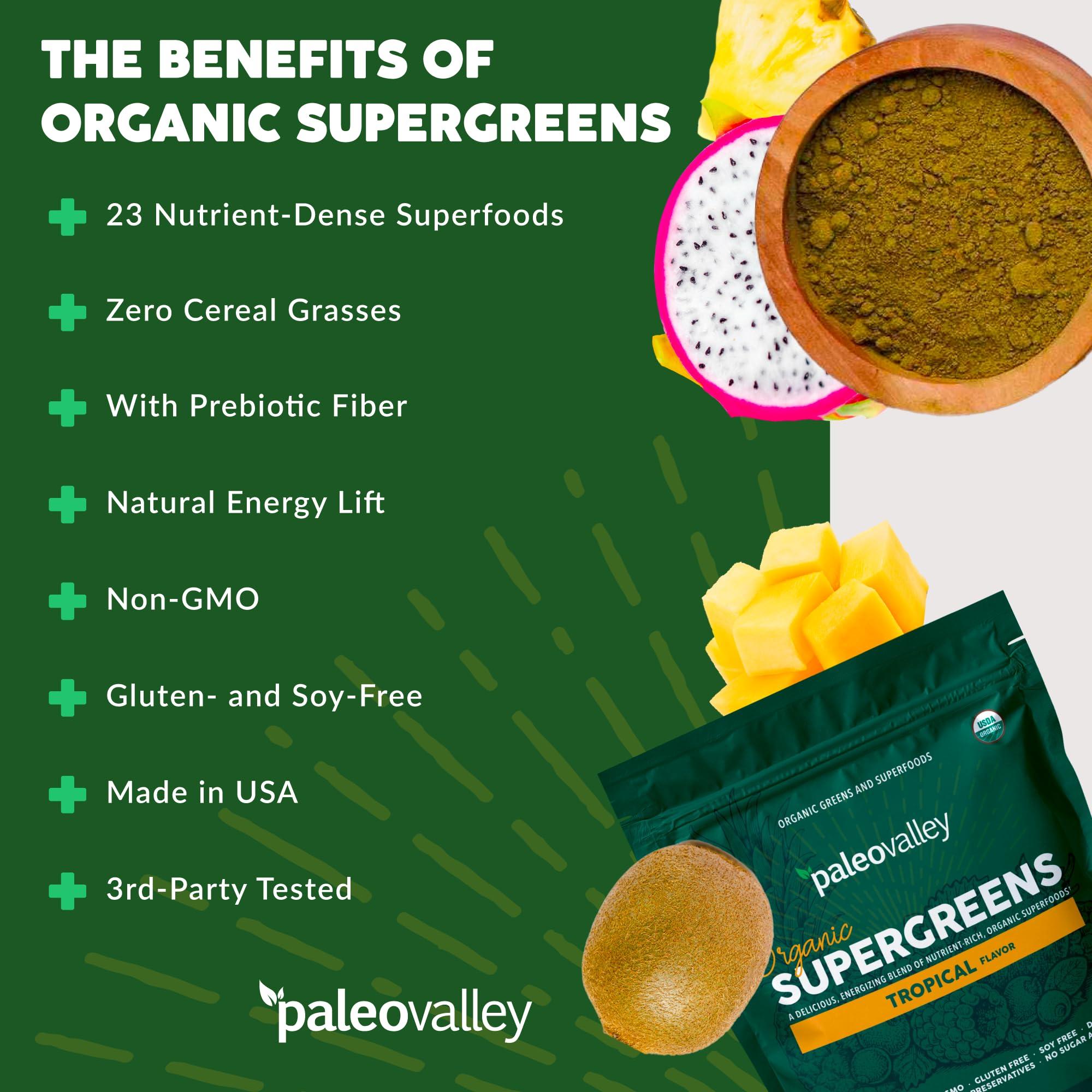 Paleovalley Paleovalley Organic Supergreens Powder - 23 Superfoods with Prebiotic Fiber for Energy and Immunity Support - No Cereal Grasses for Maximum Absorption - Tropical, 30 Servings